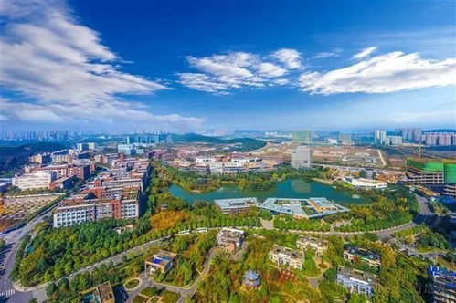 中科招商領(lǐng)銜久久益之星等3機(jī)構(gòu)參與盛齊安定增，打造中國腫瘤治療通信技術(shù)開發(fā)獨角獸