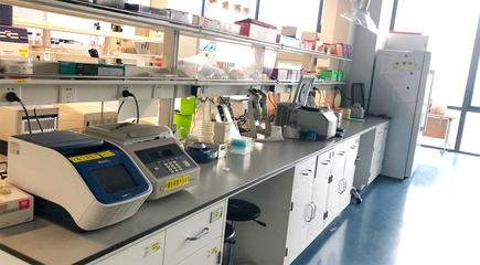 生物技術研發 驅動生命科學創新的核心引擎